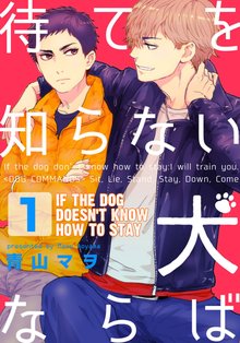 If the Dog Doesn’t Know How to Stay