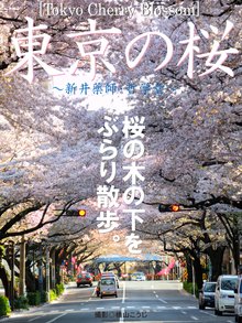 Tokyo Cherry Blossom 東京の桜 ~新井薬師・哲学堂~