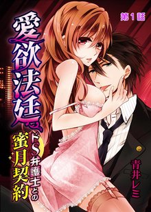 愛欲法廷~ドS弁護士との蜜月契約~