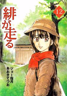 緋が走る(12)