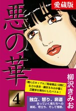 悪の華 愛蔵版 4 復讐編