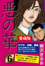 悪の華 愛蔵版 6 完結編